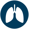 Lung cancer screening icon